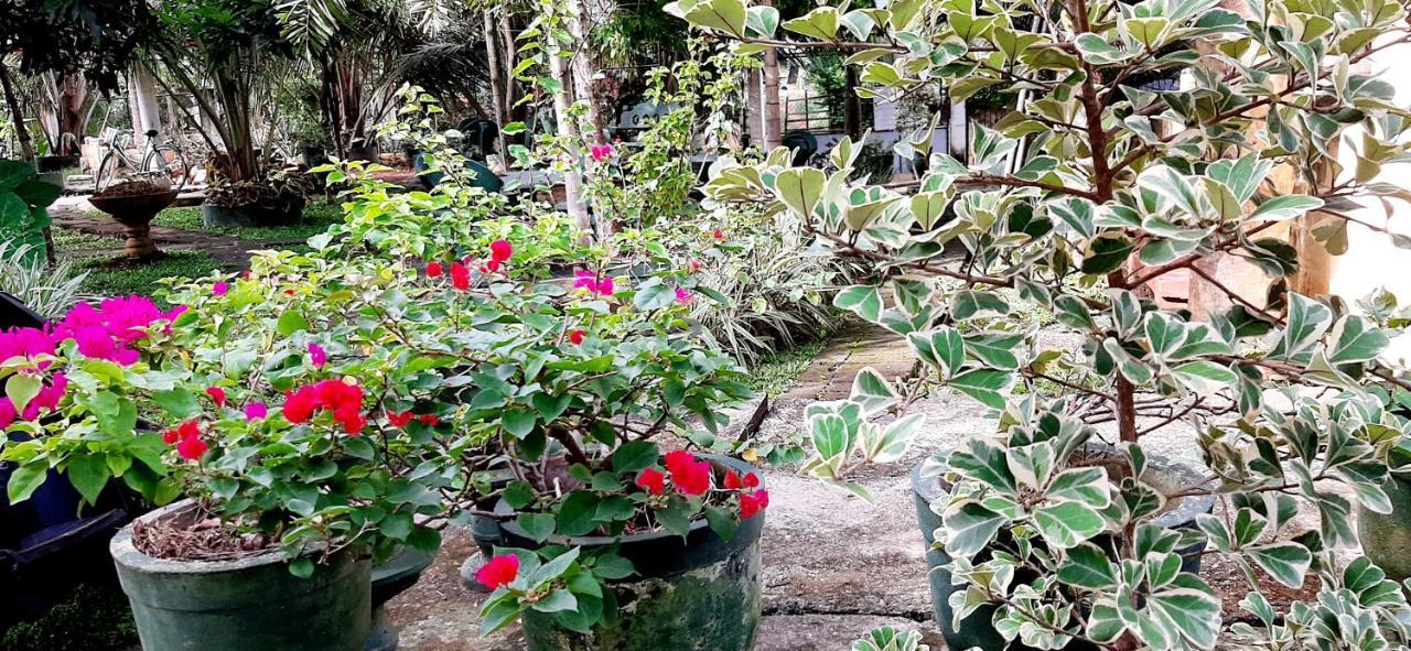 Hiriketiya Cinnamon Garden ดิคเวลลา ภายนอก รูปภาพ
