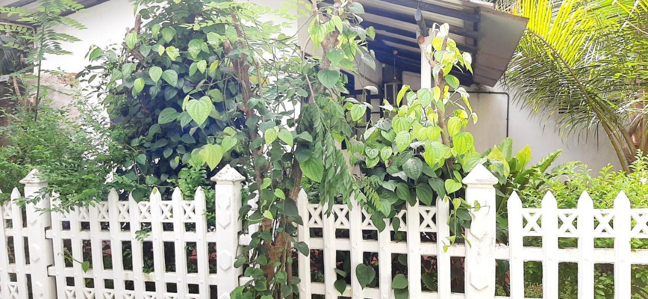 Hiriketiya Cinnamon Garden ดิคเวลลา ภายนอก รูปภาพ