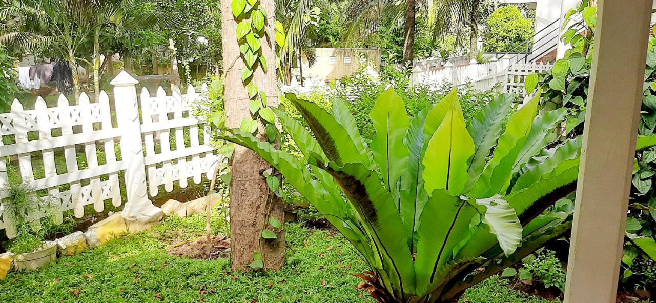 Hiriketiya Cinnamon Garden ดิคเวลลา ภายนอก รูปภาพ