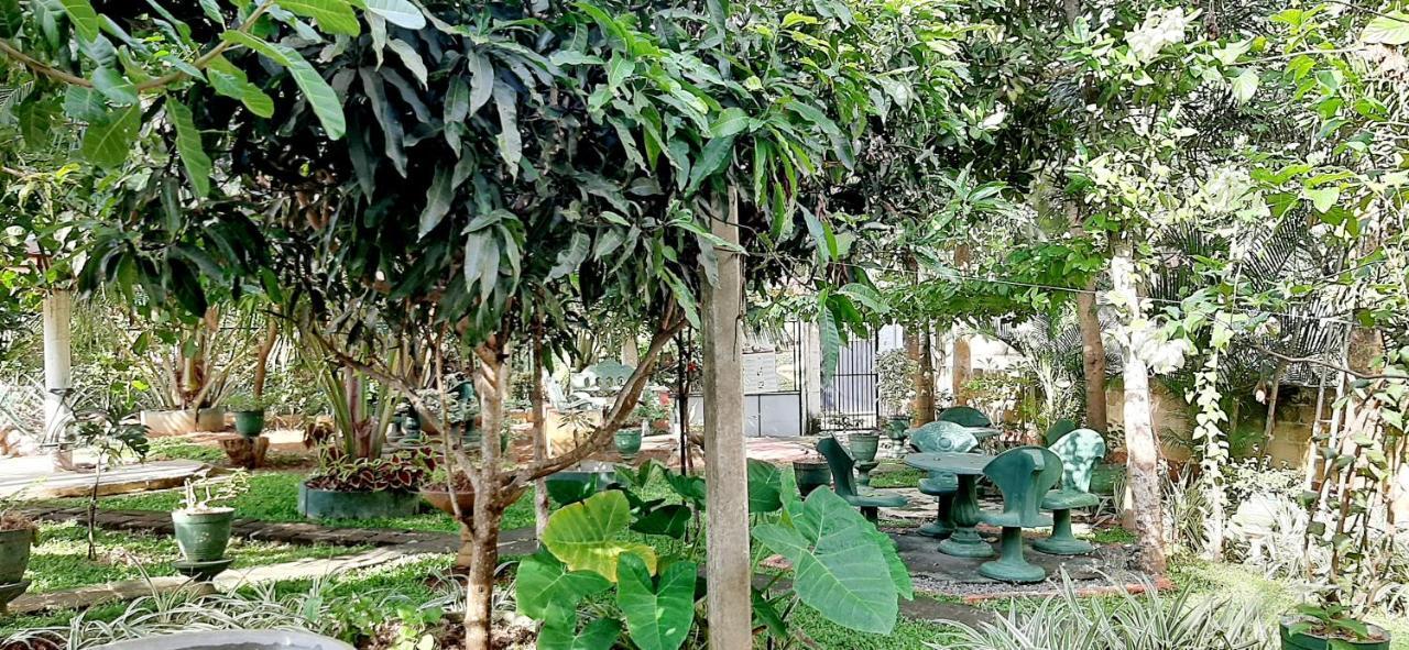Hiriketiya Cinnamon Garden ดิคเวลลา ภายนอก รูปภาพ