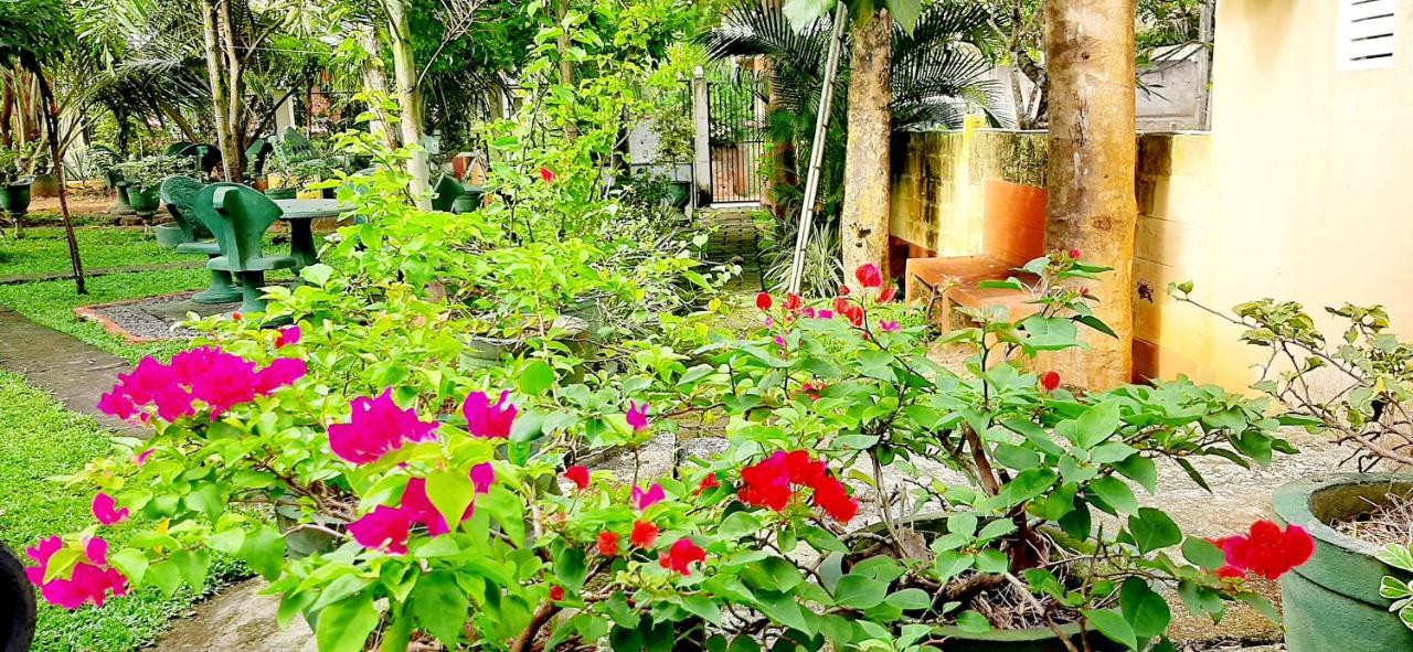 Hiriketiya Cinnamon Garden ดิคเวลลา ภายนอก รูปภาพ