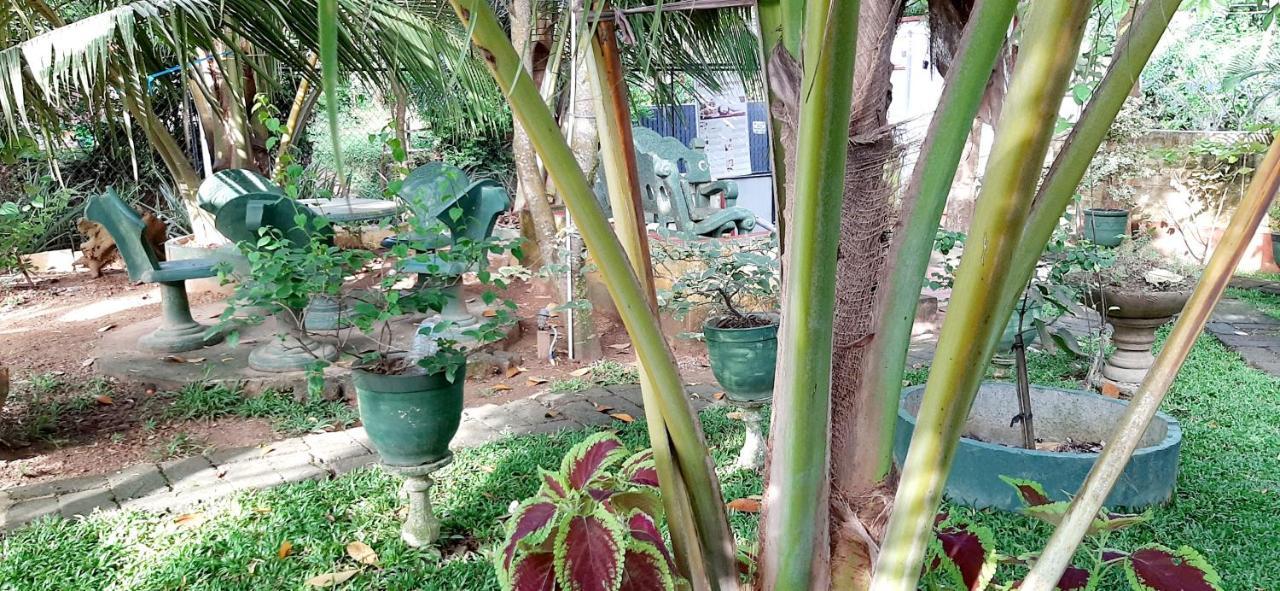 Hiriketiya Cinnamon Garden ดิคเวลลา ภายนอก รูปภาพ