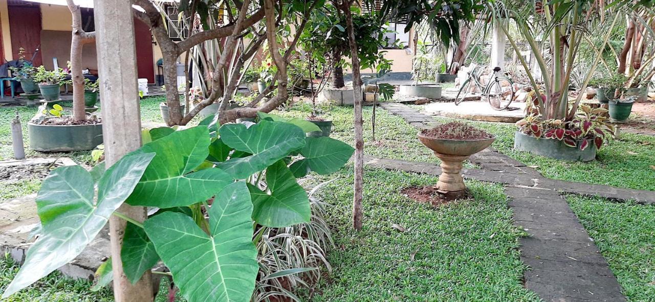 Hiriketiya Cinnamon Garden ดิคเวลลา ภายนอก รูปภาพ