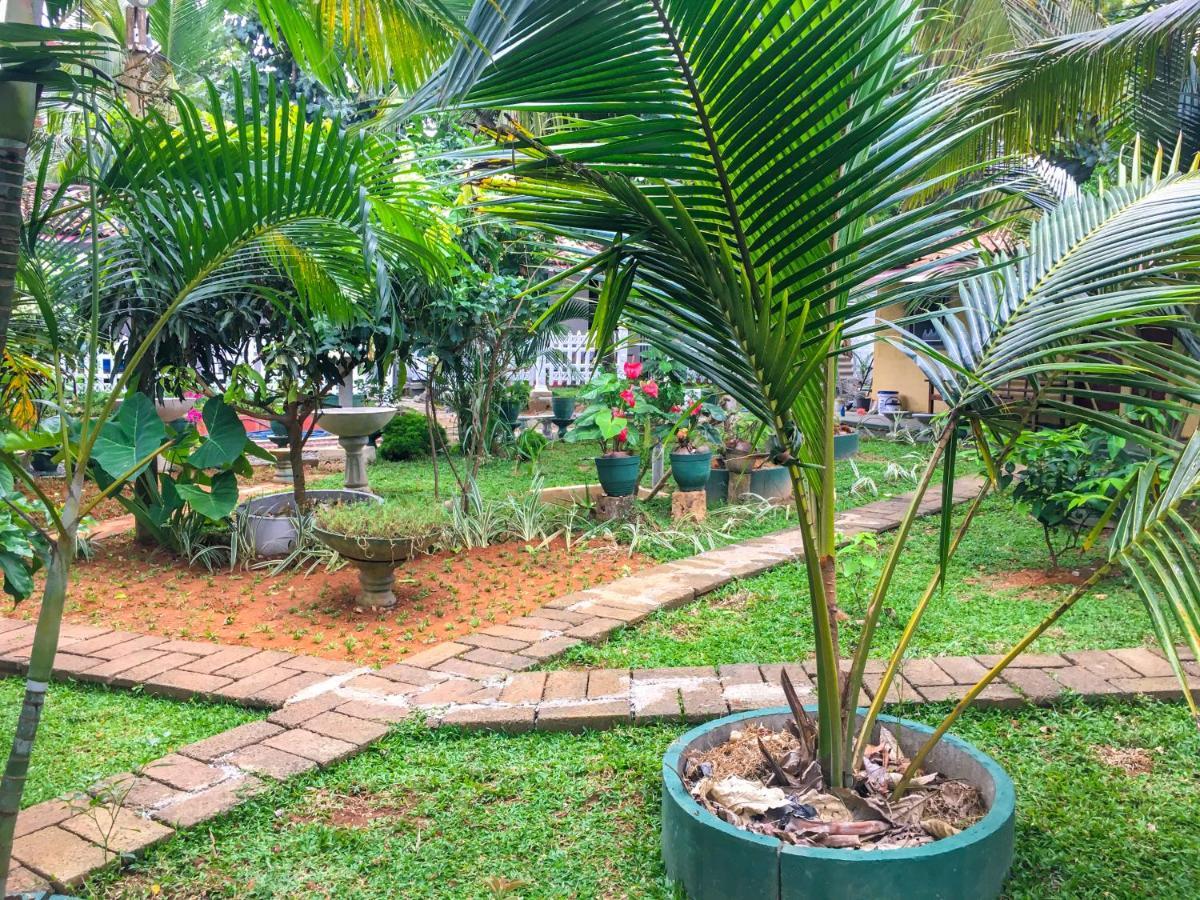 Hiriketiya Cinnamon Garden ดิคเวลลา ภายนอก รูปภาพ